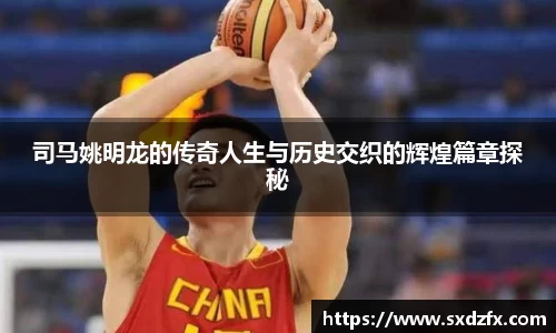 司马姚明龙的传奇人生与历史交织的辉煌篇章探秘