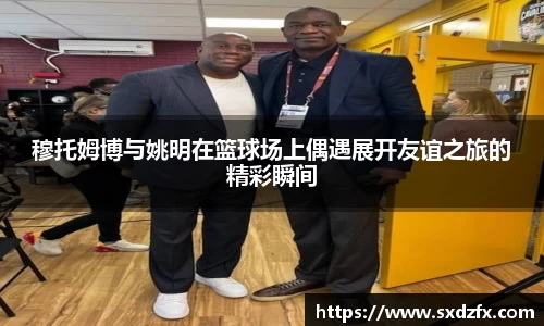 BSport运动