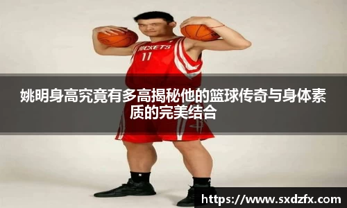 姚明身高究竟有多高揭秘他的篮球传奇与身体素质的完美结合