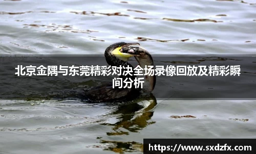 bsports必一体育
